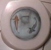Toilettendeckel